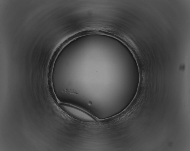 X0000091191020200708301233