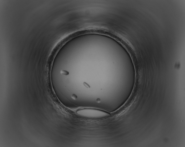 X0000091191021200708301233