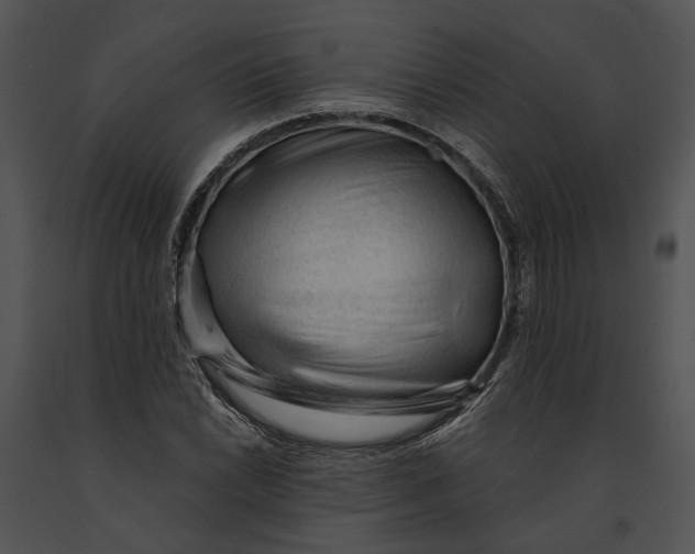 X0000091191022200708301233