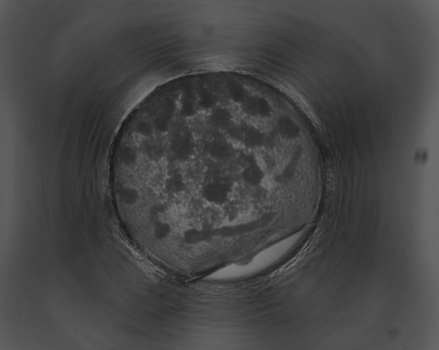 X0000091191023200708301233