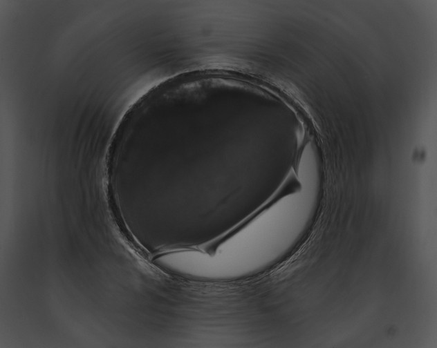 X0000091191024200708301233