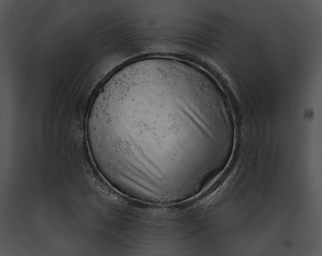 X0000091191025200708301233