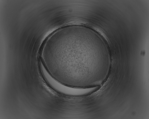 X0000091191026200708301233