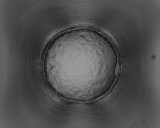 X0000091191027200708301233