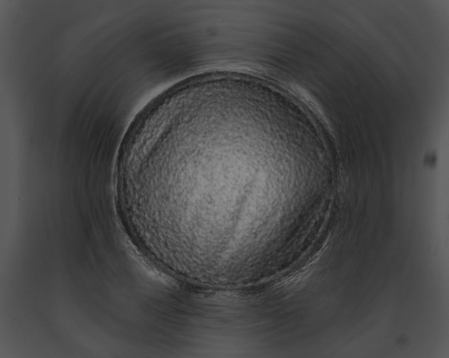 X0000091191028200708301233