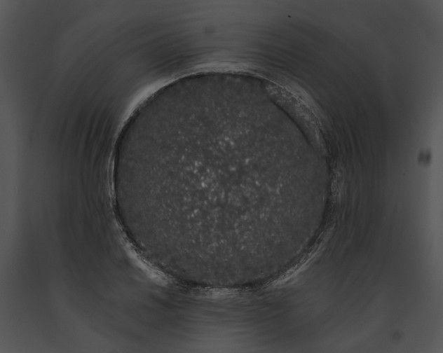 X0000091191030200708301233