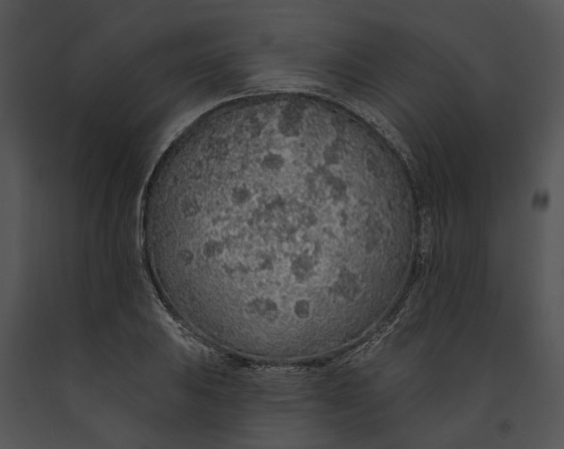 X0000091191031200708301233