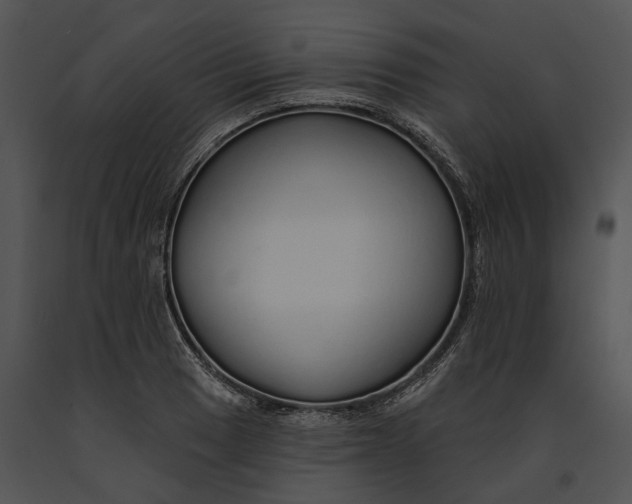 X0000091191033200708301233