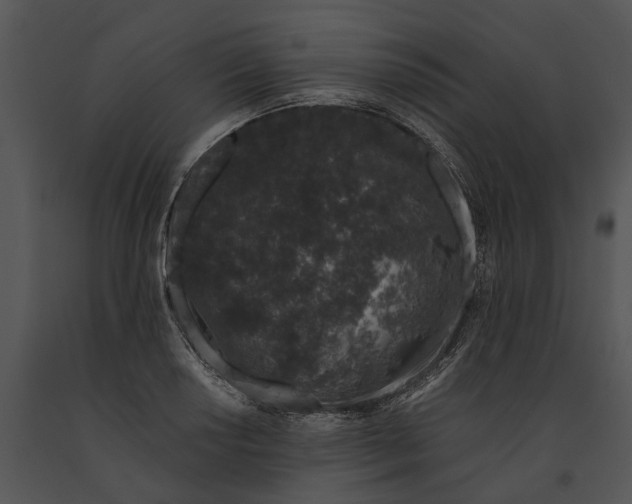 X0000091191034200708301233