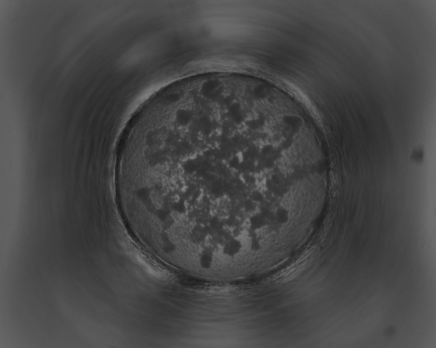 X0000091191035200708301233