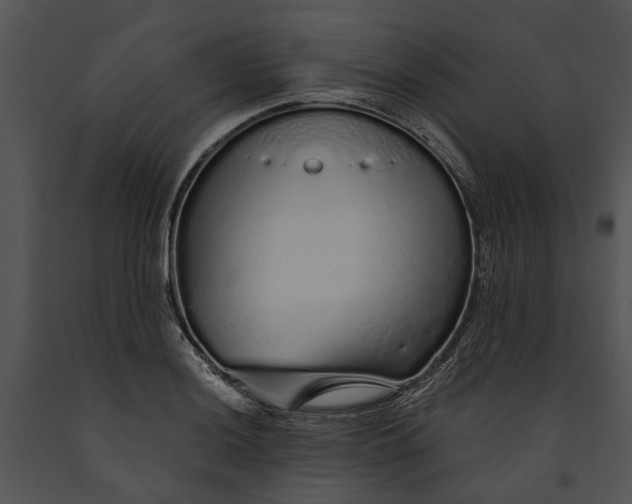 X0000091191036200708301233