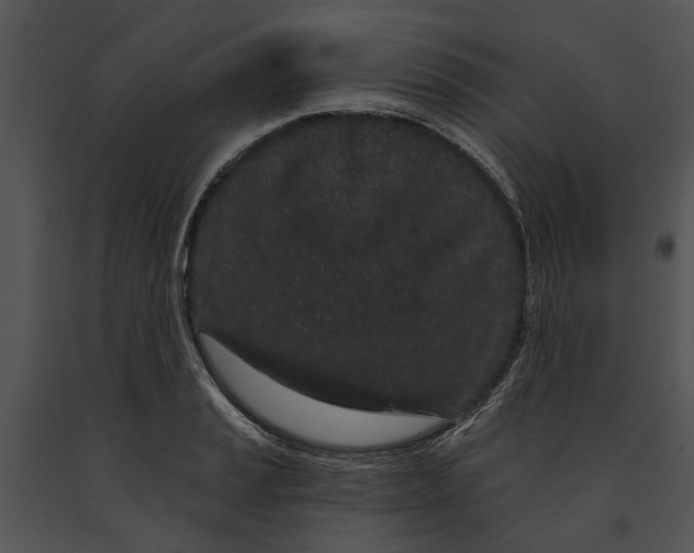 X0000091191037200708301233