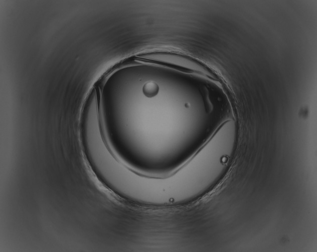 X0000091191038200708301233