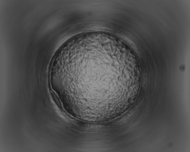 X0000091191039200708301233