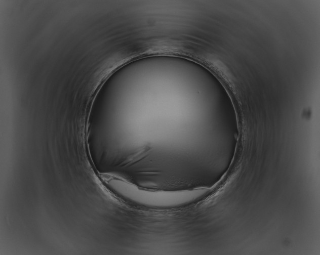 X0000091191041200708301233