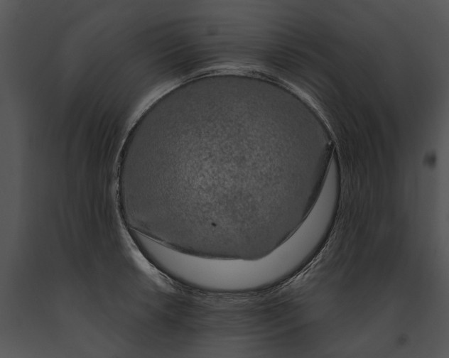 X0000091191042200708301233