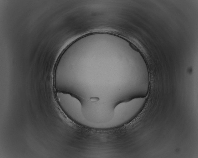 X0000091191044200708301233