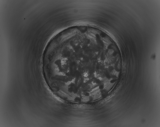 X0000091191045200708301233