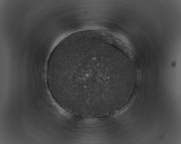 X0000091191046200708301233