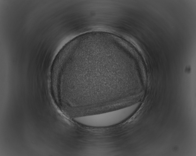 X0000091191048200708301233