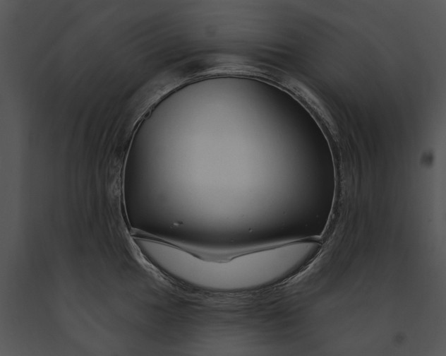 X0000091191049200708301233