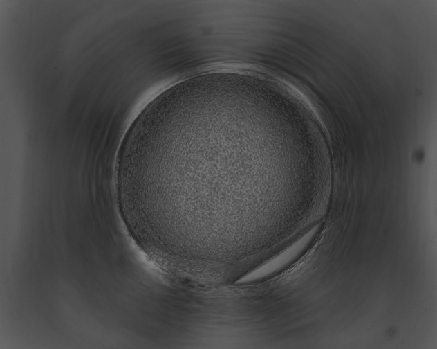 X0000091191050200708301233