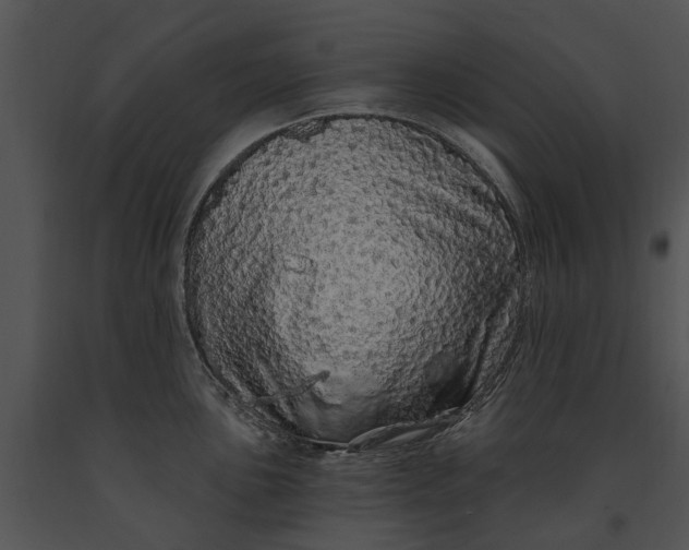 X0000091191051200708301233