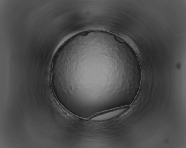 X0000091191052200708301233