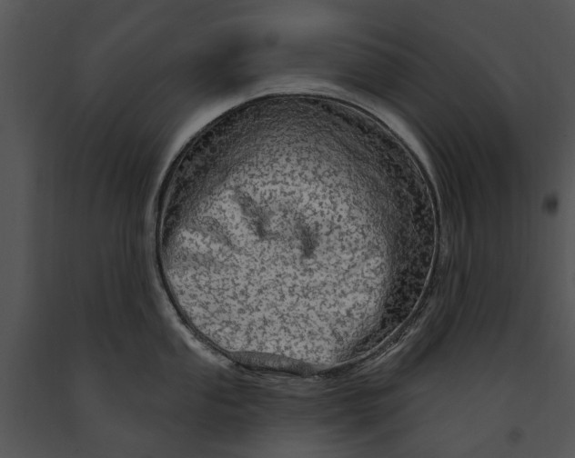 X0000091191053200708301233