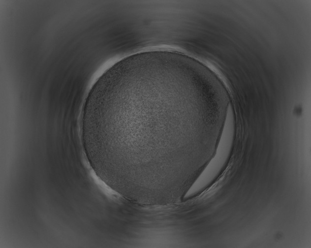 X0000091191054200708301233