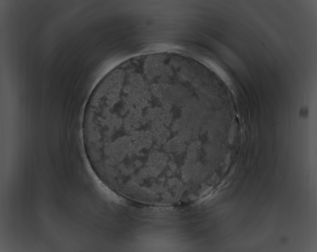 X0000091191055200708301233