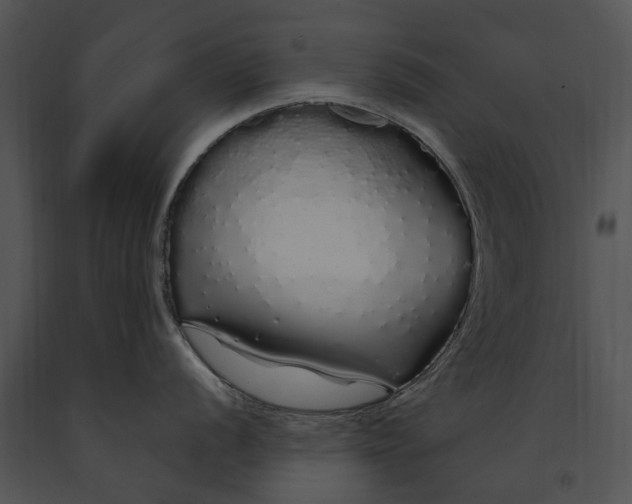 X0000091191056200708301233