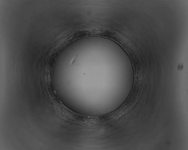 X0000091191058200708301232