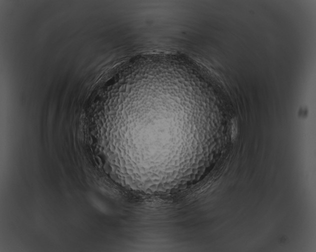 X0000091191059200708301232