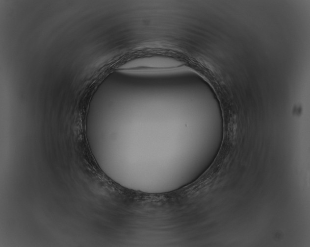 X0000091191062200708301232