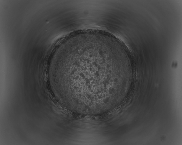 X0000091191063200708301232