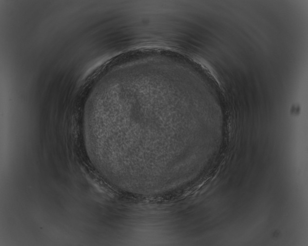 X0000091191064200708301232