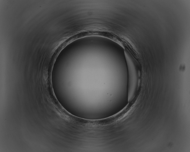 X0000091191065200708301232