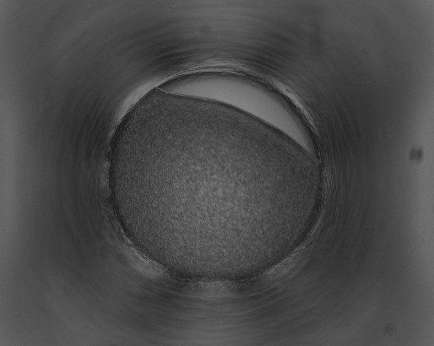 X0000091191066200708301232