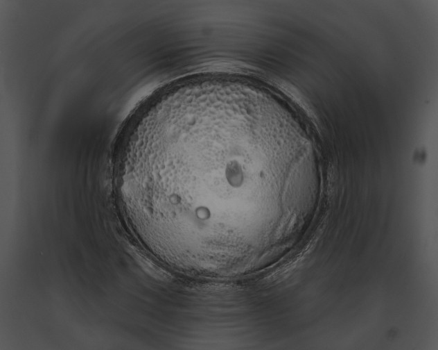 X0000091191067200708301232