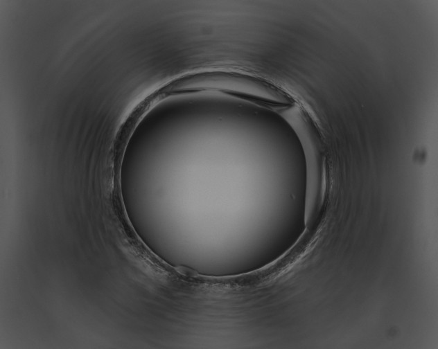 X0000091191069200708301232