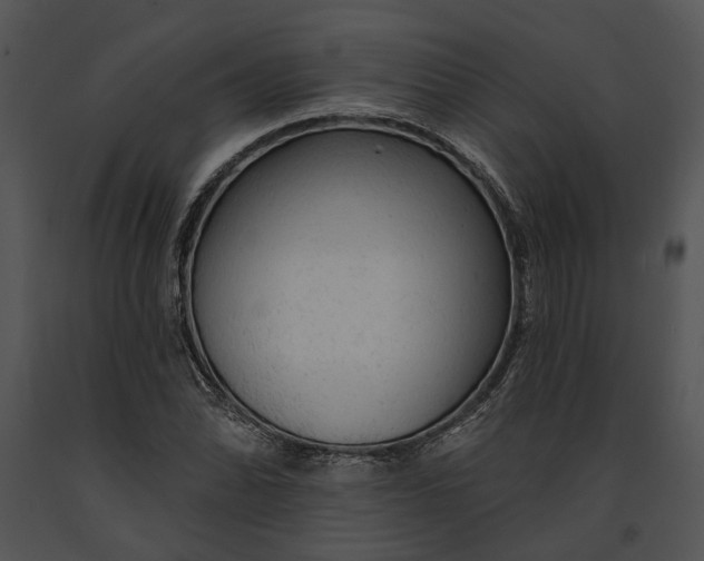 X0000091191070200708301232