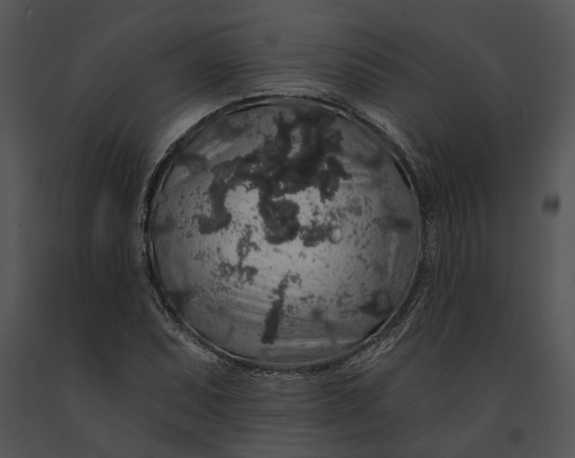 X0000091191071200708301232