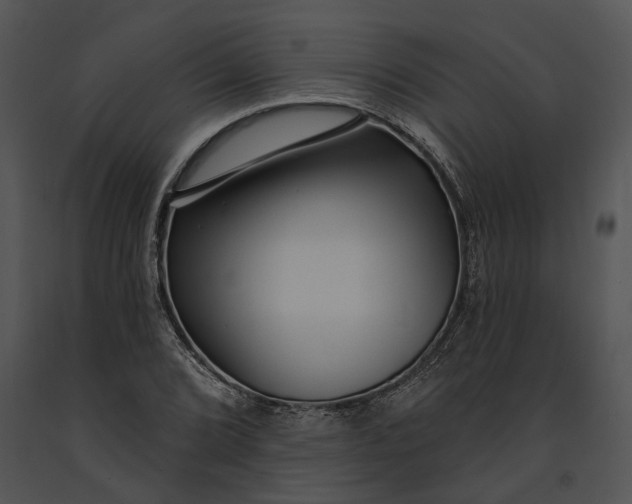 X0000091191072200708301232