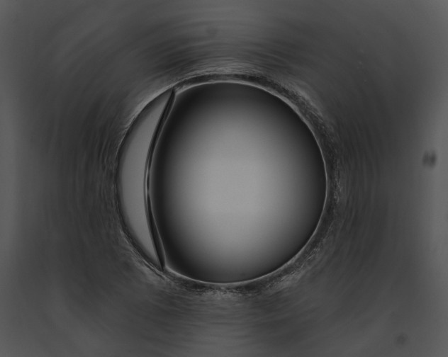 X0000091191073200708301232