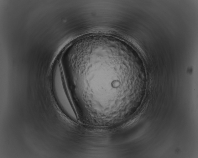 X0000091191075200708301232