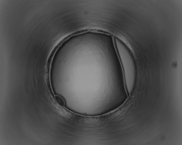 X0000091191076200708301232