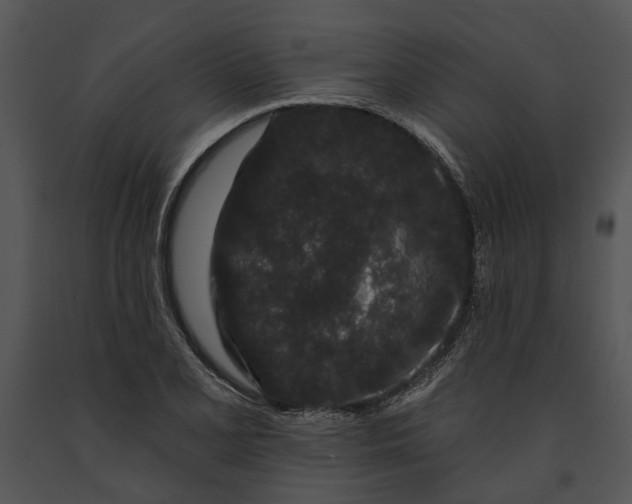 X0000091191077200708301232