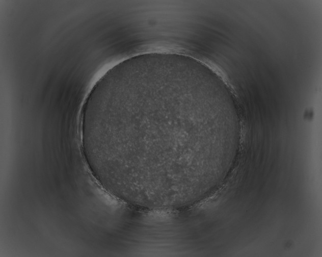 X0000091191078200708301232