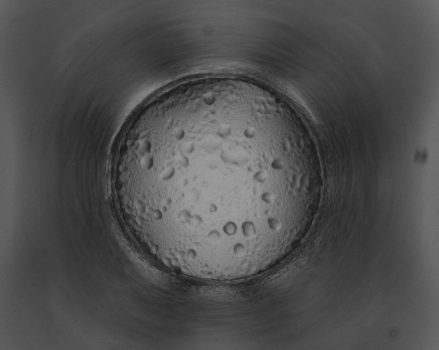 X0000091191079200708301232